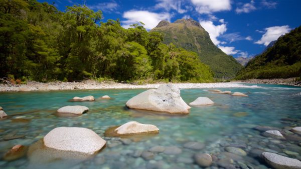 Exploring Fiordland National Park