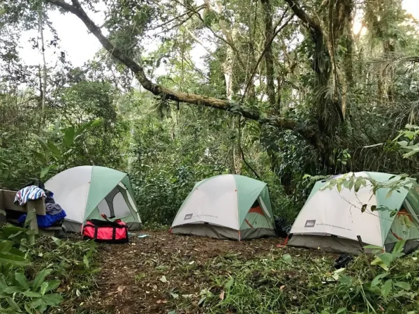 Glamping in the Brazilian Rainforest