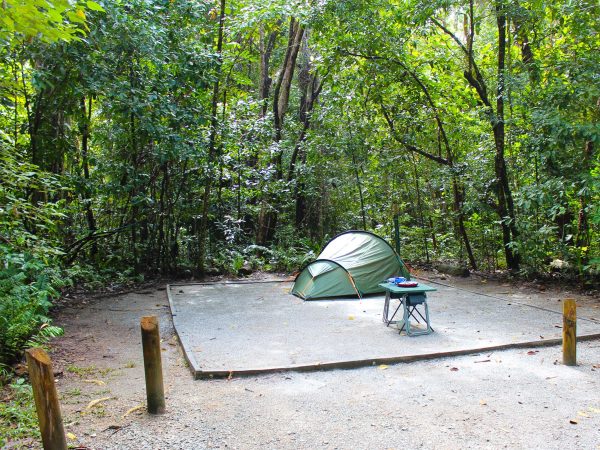 Glamping in the Daintree Forest