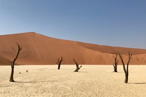 Namib Desert, Namibia