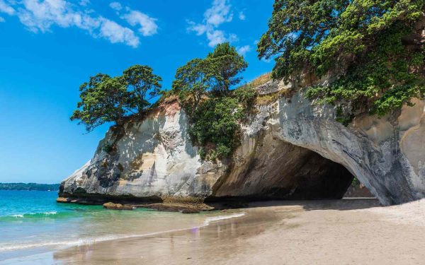 Picturesque Beaches of the North Island