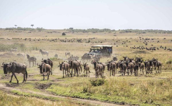 Places To Go Glamping In Africa