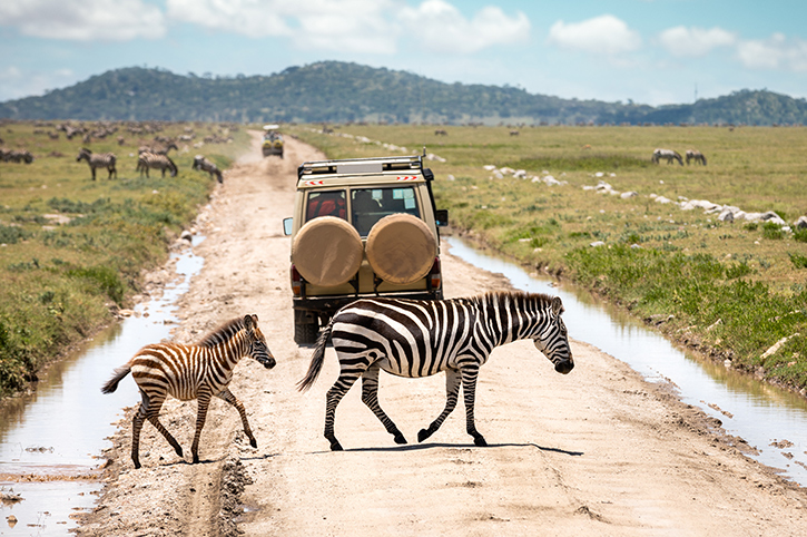 Serengeti National Park, Tanzania