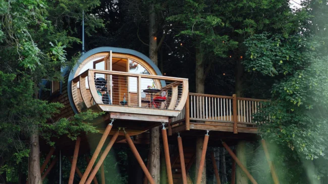 camping in Treehouses