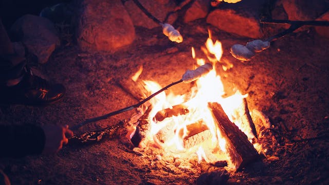 DIY Campfire Cooking Tips and Tricks