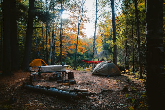 Setting Up a Cozy Sleeping Area