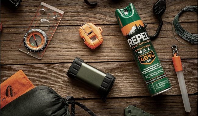 Best Insect Repellents and Bug Sprays