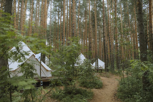 Top-Rated Glamping Sites in the Region