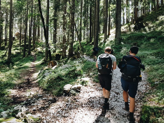 best hiking shorts