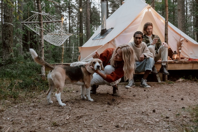 Camping with pet
