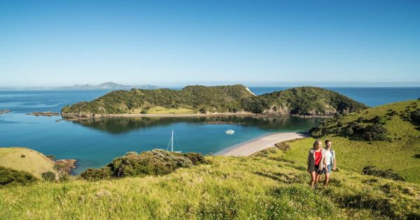 Discovering the Beauty of the Bay of Islands