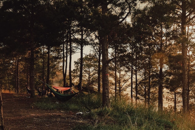 Camping In Hammocks