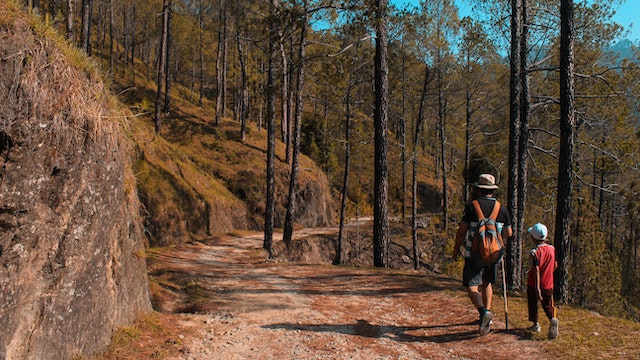 Mountain Pass Trail