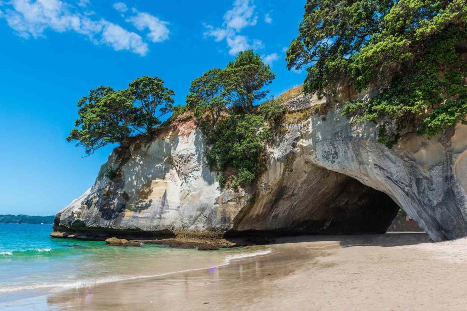 Picturesque Beaches of the North Island