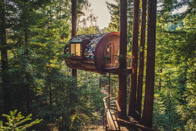 camping in Treehouses safty