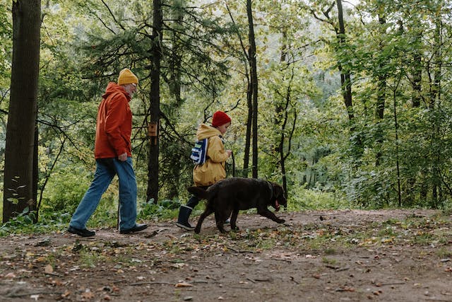 Hiking Jackets