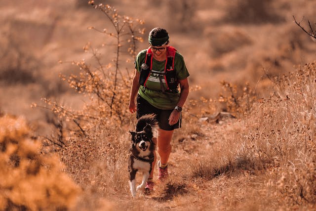 Hiking Shorts for Women